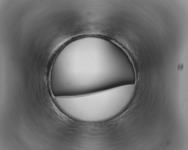X0000090911452200707301022