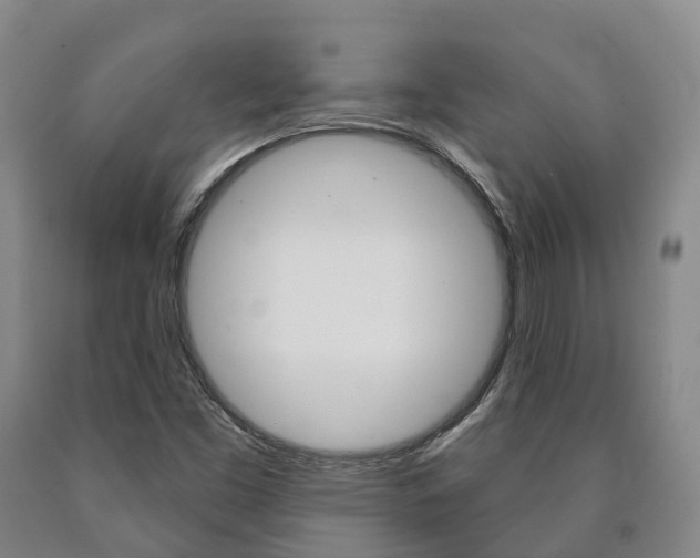 X0000090911453200707301022