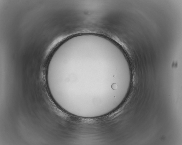 X0000090911454200707301022