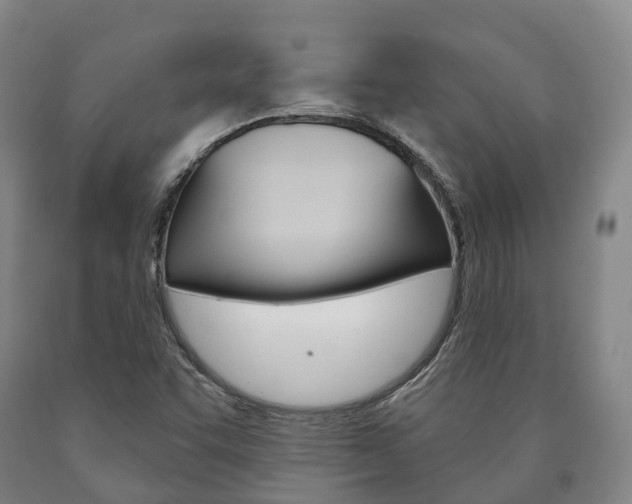 X0000090911455200707301022