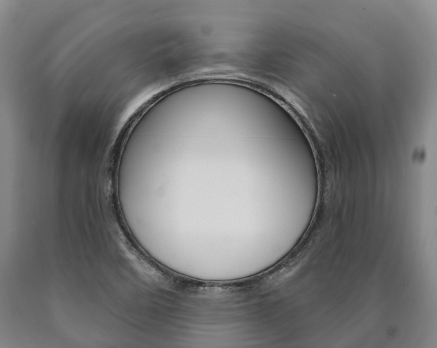 X0000090911458200707301022