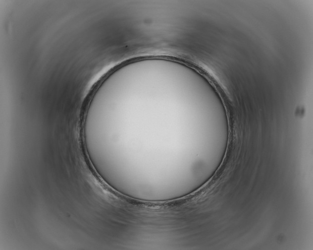 X0000090911460200707301022