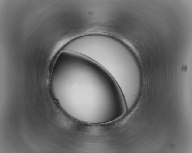 X0000090911461200707301022