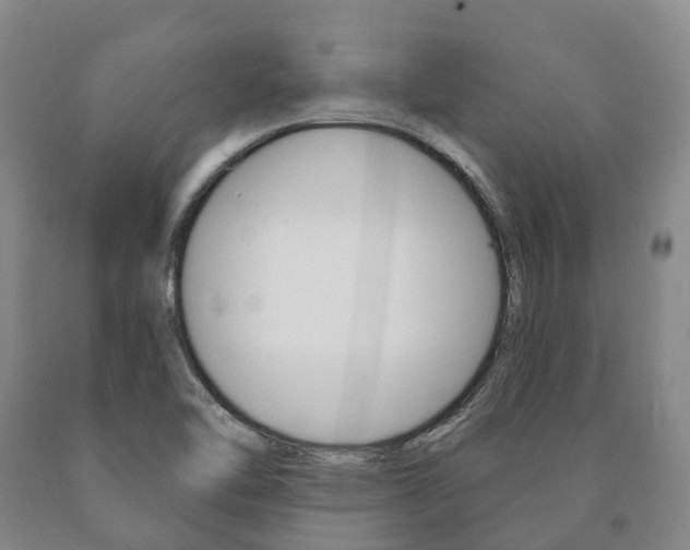 X0000090911462200707301022