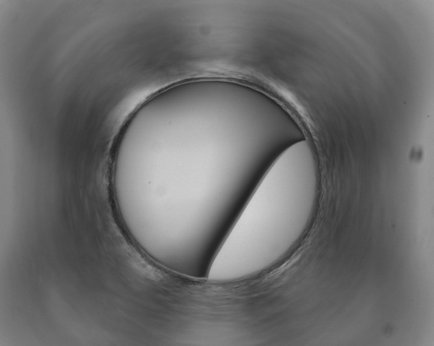 X0000090911463200707301022
