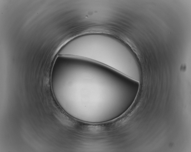 X0000090911465200707301022