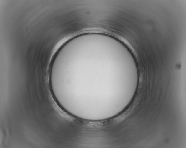 X0000090911466200707301022