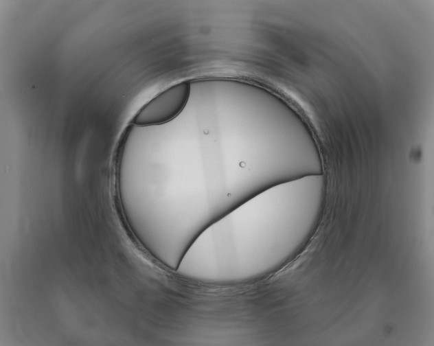 X0000090911467200707301022