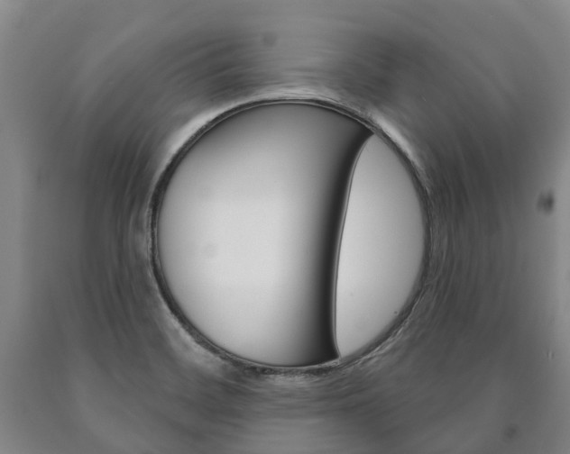 X0000090911468200707301022