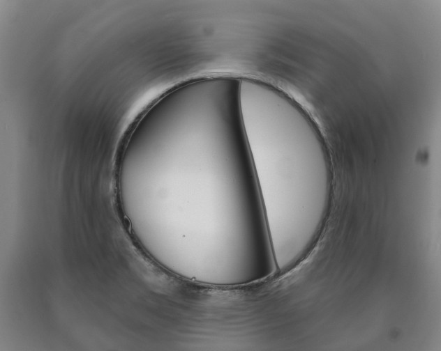 X0000090911469200707301022