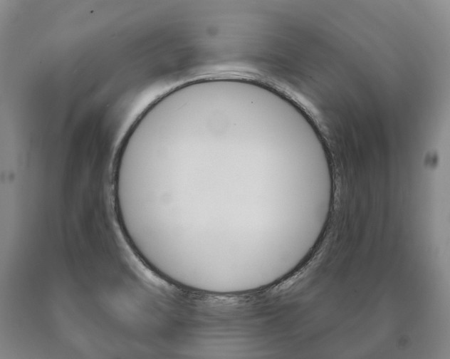 X0000090911470200707301022