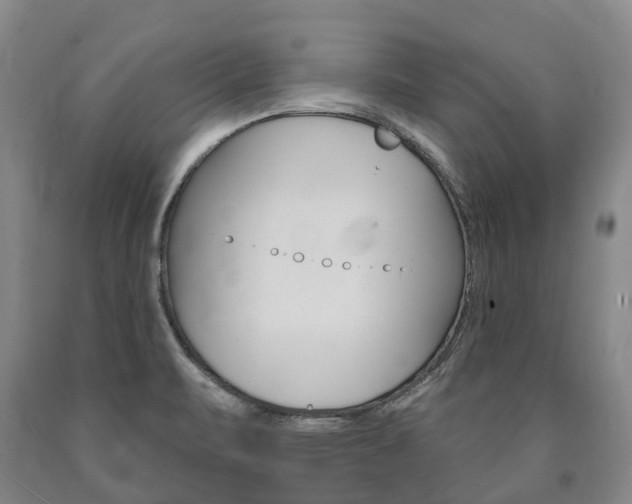 X0000090911471200707301022