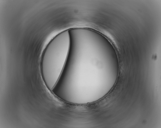 X0000090911472200707301022