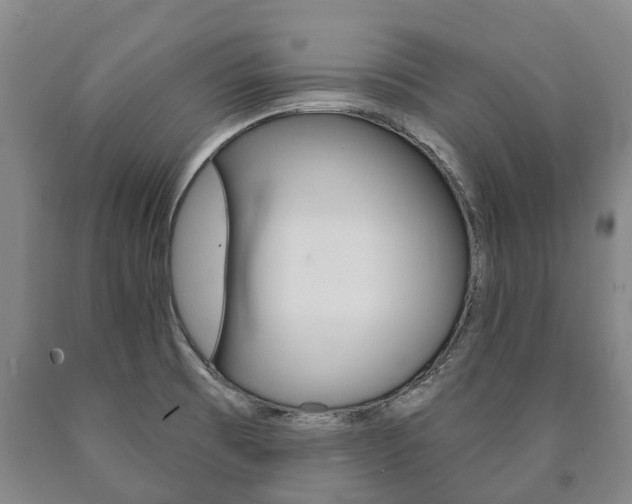 X0000090911473200707301022