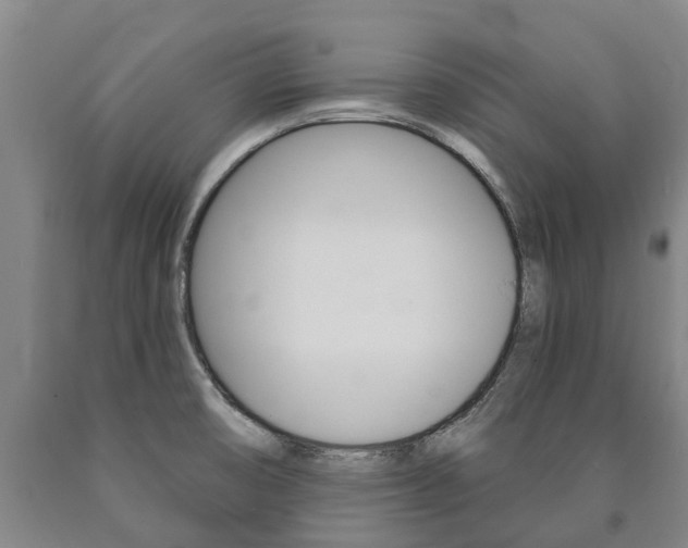X0000090911474200707301022