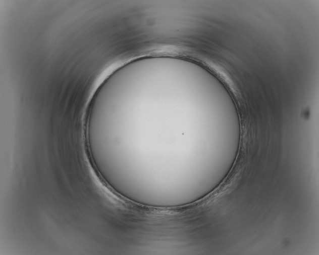 X0000090911475200707301022