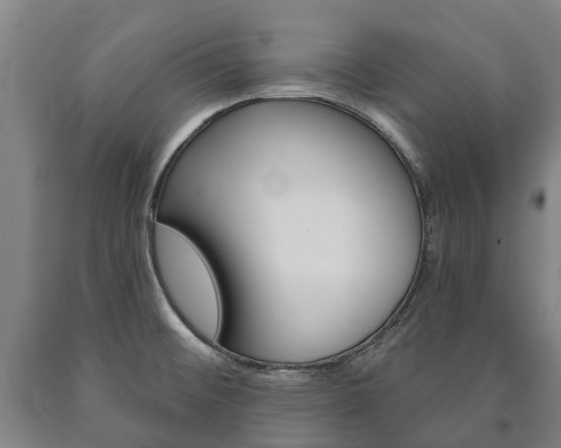 X0000090911476200707301022