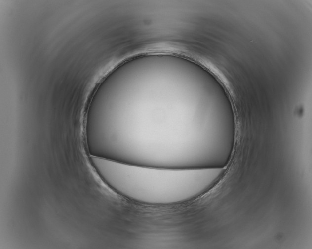 X0000090911477200707301022