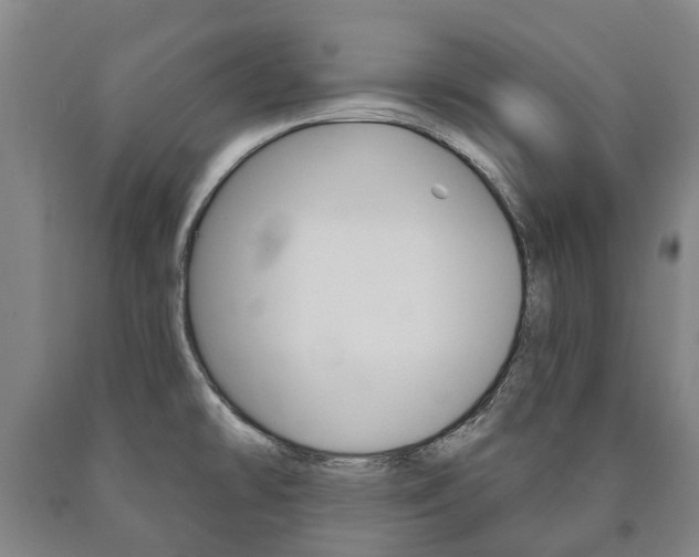 X0000090911478200707301022