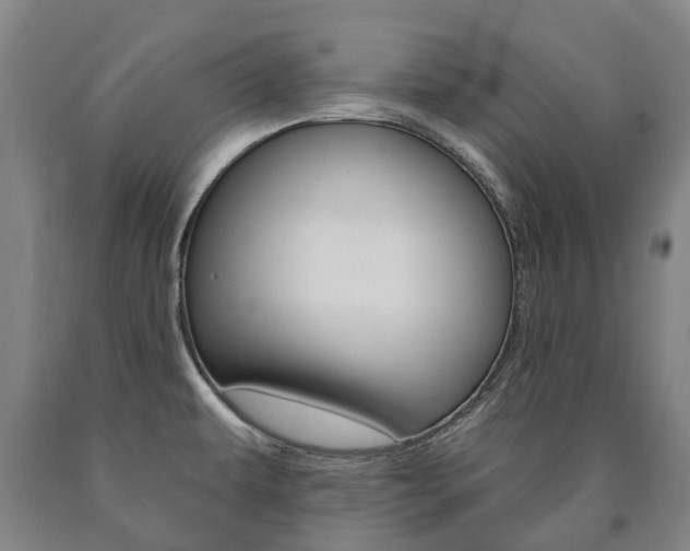 X0000090911479200707301022