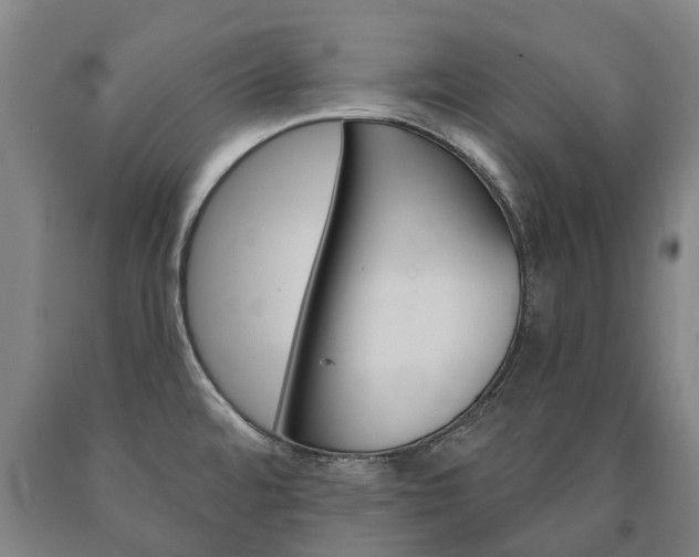 X0000090911480200707301022