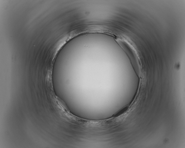 X0000090911481200707301022