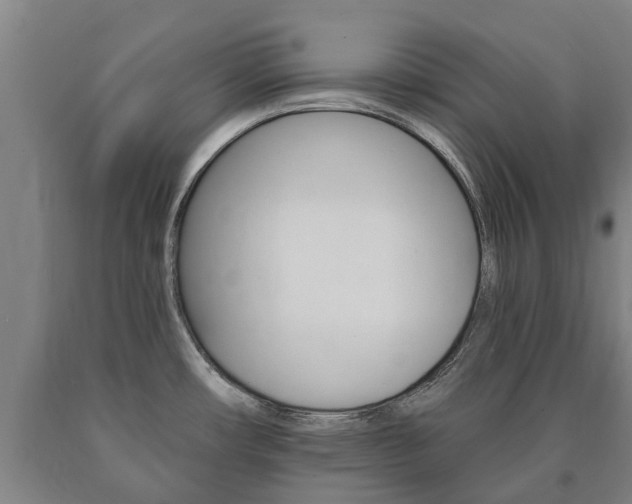 X0000090911482200707301022