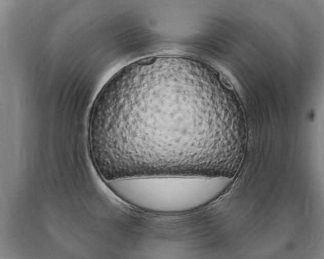 X0000090911483200707301022