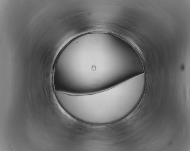 X0000090911484200707301022