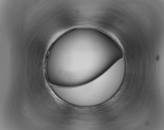 X0000090911485200707301022