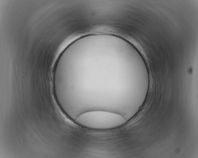 X0000090911486200707301022