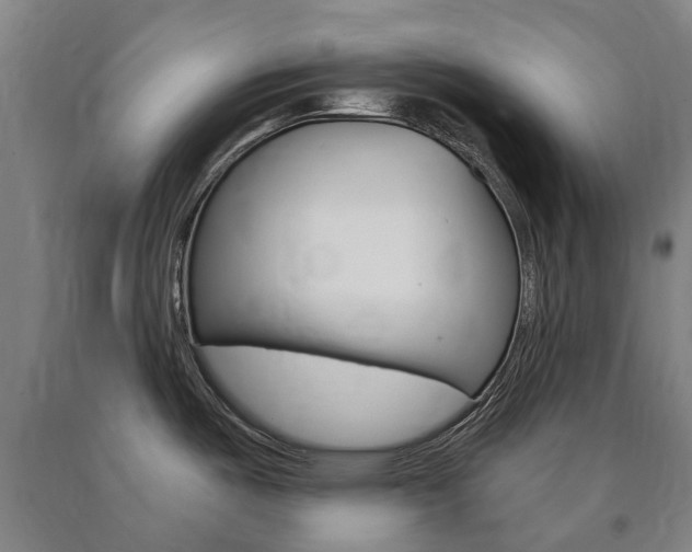X0000090911487200707301022