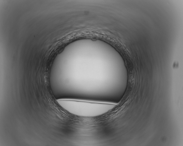 X0000090911490200707301021