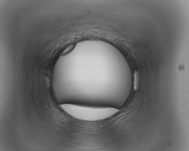 X0000090911491200707301021
