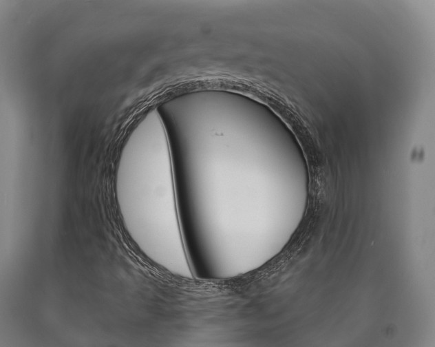 X0000090911493200707301021
