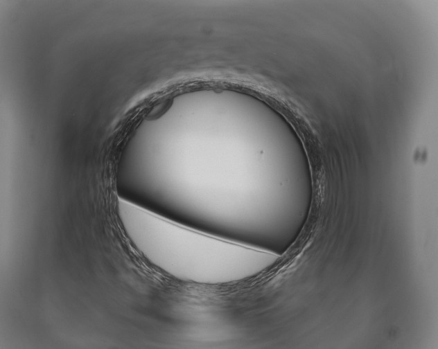 X0000090911494200707301021