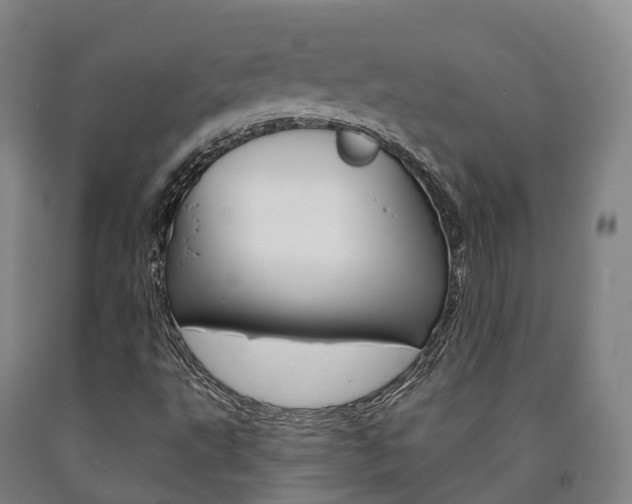 X0000090911495200707301021