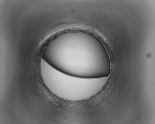X0000090911496200707301021