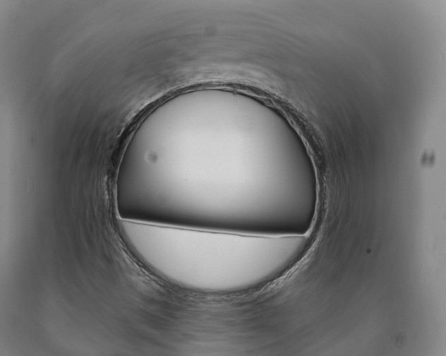 X0000090911497200707301021