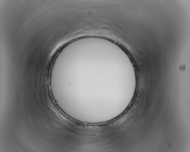 X0000090911498200707301021