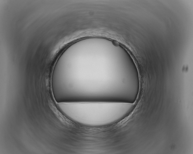 X0000090911499200707301021