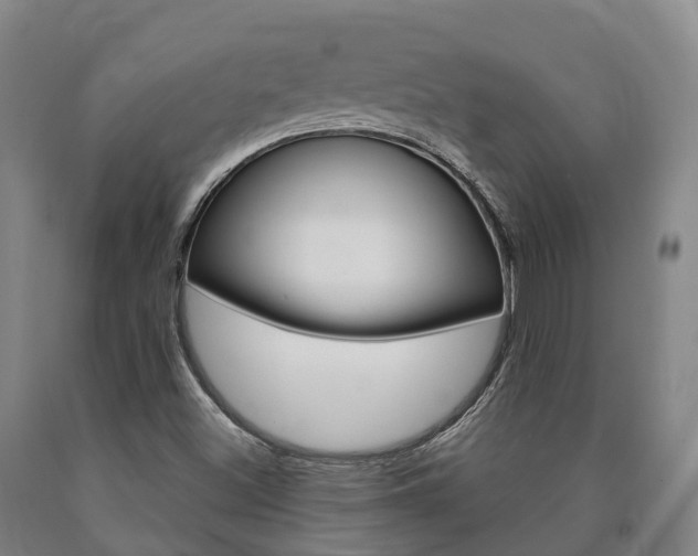 X0000090911500200707301021