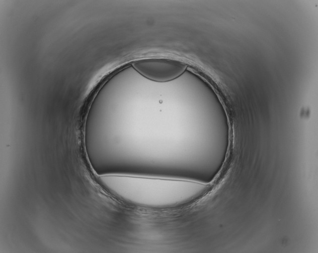 X0000090911501200707301021