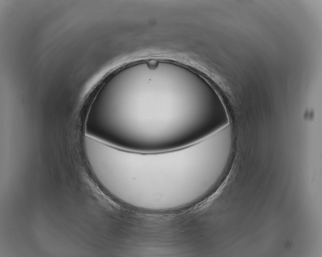 X0000090911502200707301021