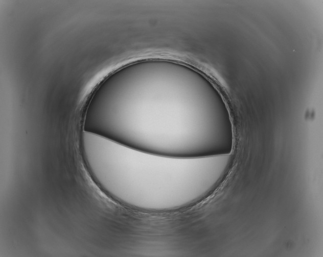 X0000090911504200707301021