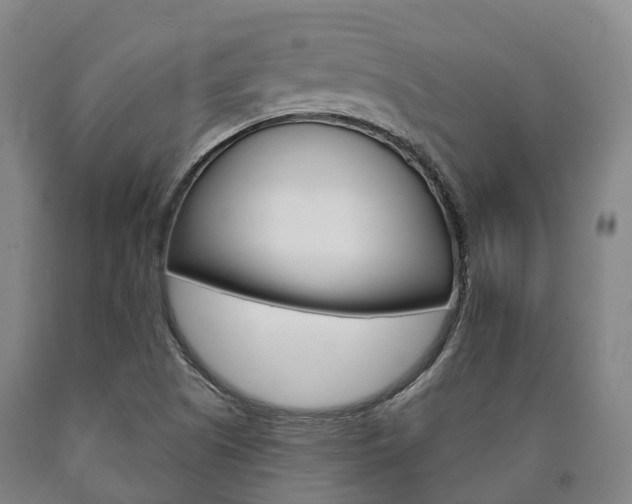 X0000090911505200707301021