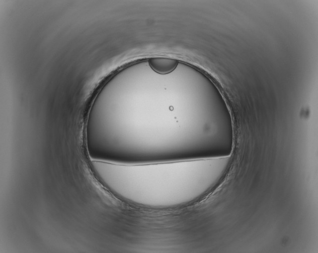 X0000090911507200707301021