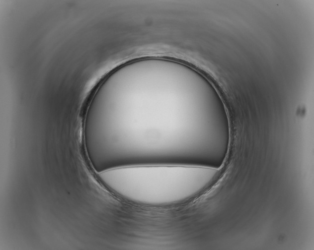 X0000090911509200707301022