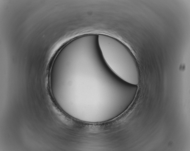 X0000090911511200707301022