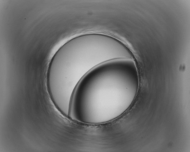 X0000090911512200707301022